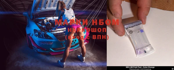 прущие грибы Алексеевка
