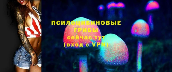 прущие грибы Алексеевка