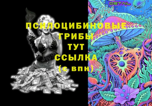 2c-b Алзамай