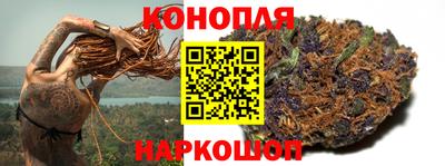 крисы Тула