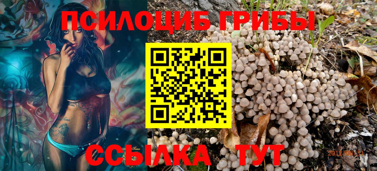 Псилоцибиновые грибы GOLDEN TEACHER Саки